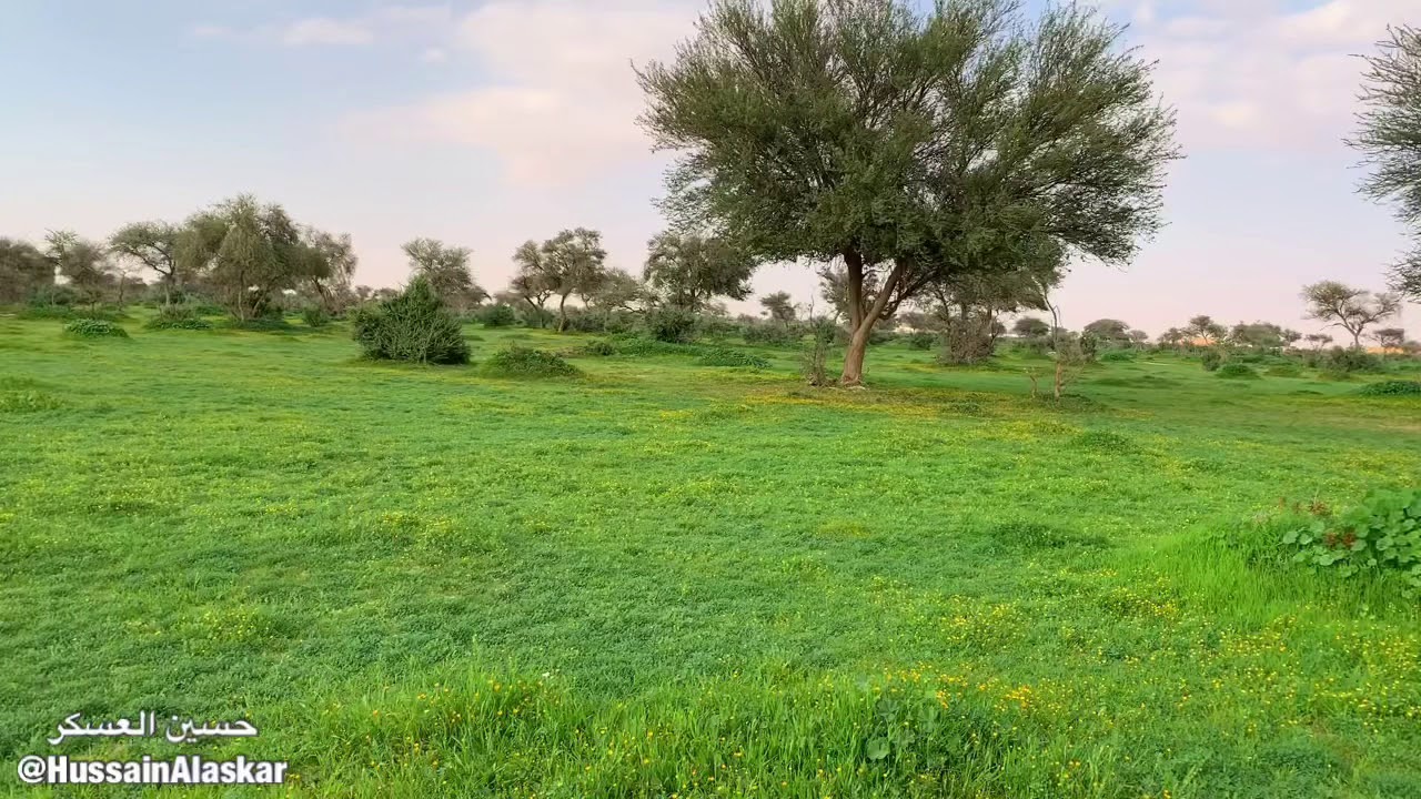 ربيع روضة خريم 21 / 4 / 1440هـ