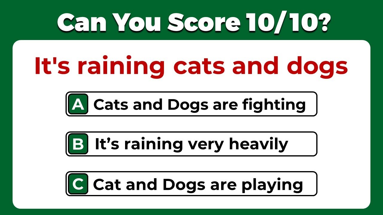 Idiomatic Phrases Quiz: CAN 97% PASS THIS QUIZ? #5