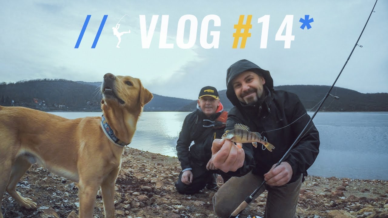 Maelstrom Fishing Vlog #14: On the Lake with Vita the Dog