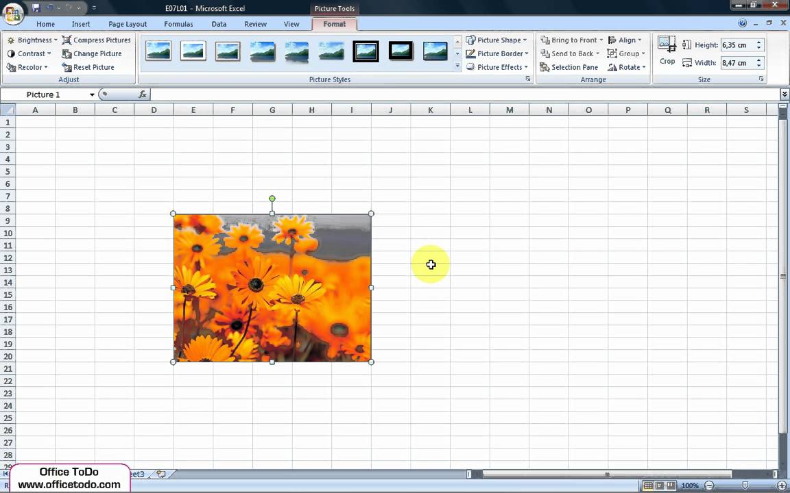 How to&nbsp;insert image into&nbsp;the&nbsp;cell? | Excel 2007