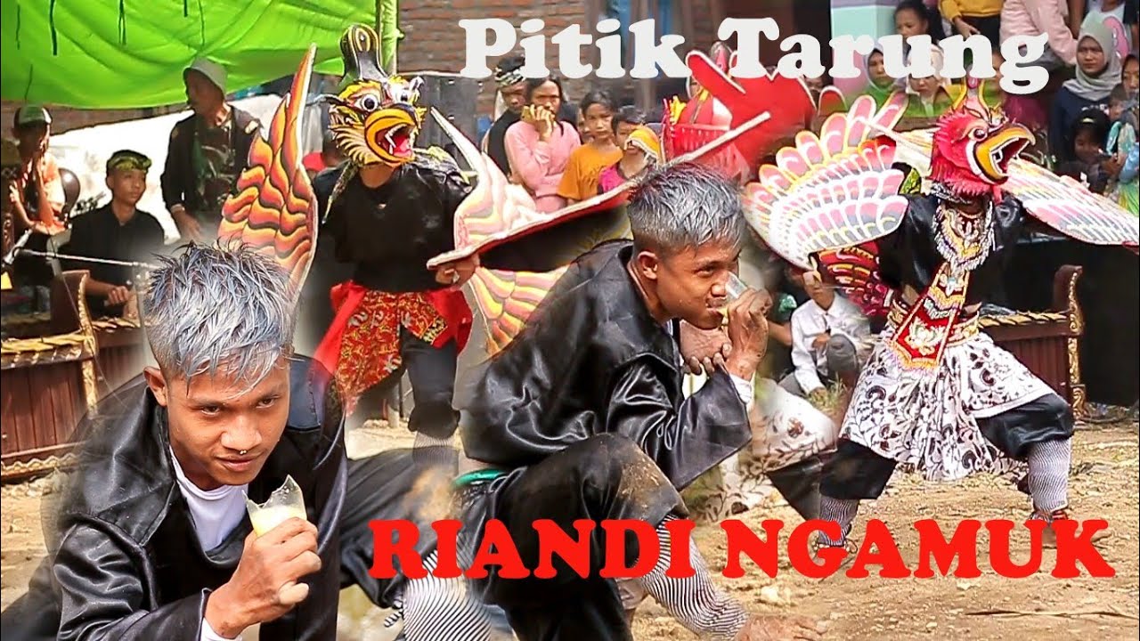 Cinde kencono / Pitik Tarung - RIANDI NGAMUK / Barong CINDE KENCONO