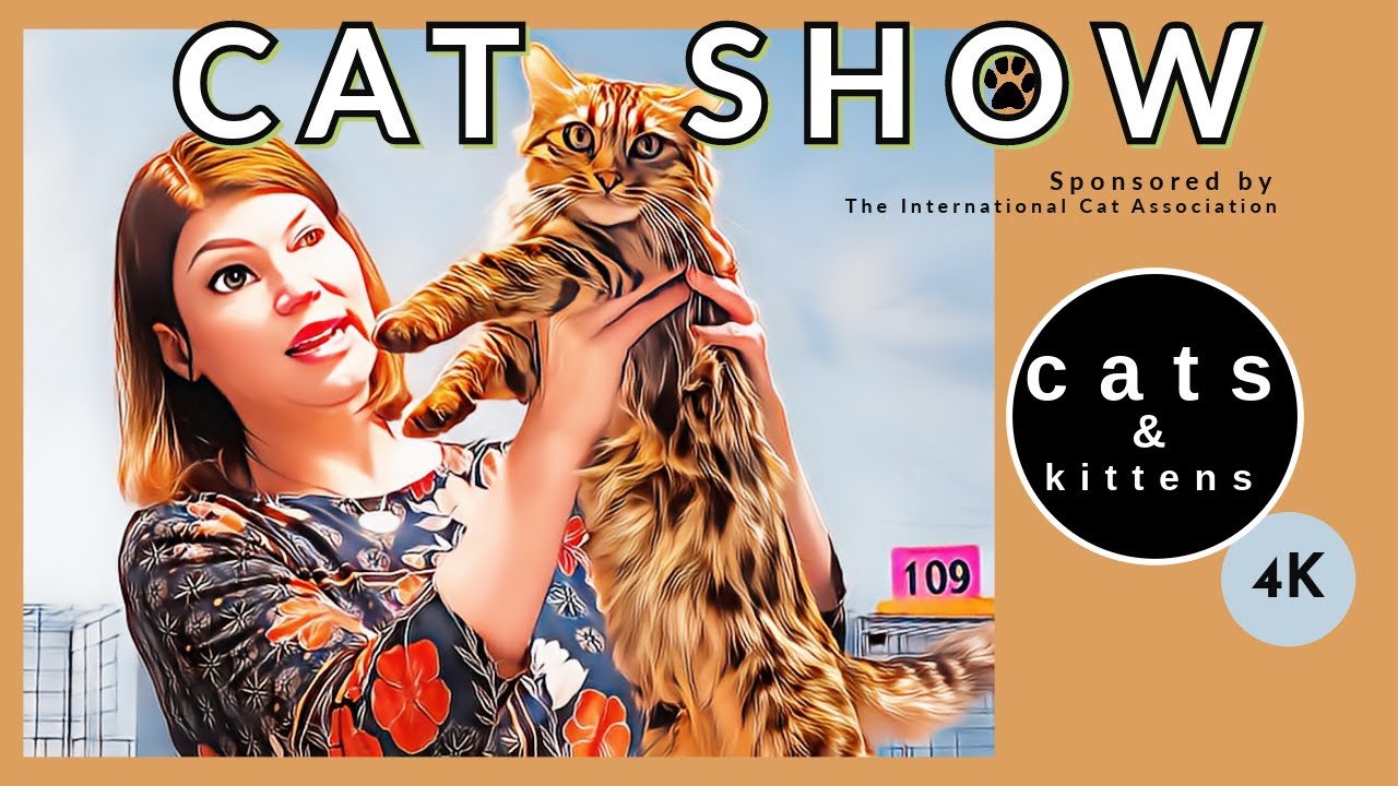 Daisy's Diary: TICA All Breed Cat Show with Cats, Kittens, & Household Pets, Auburn, CA, 2023, 4K