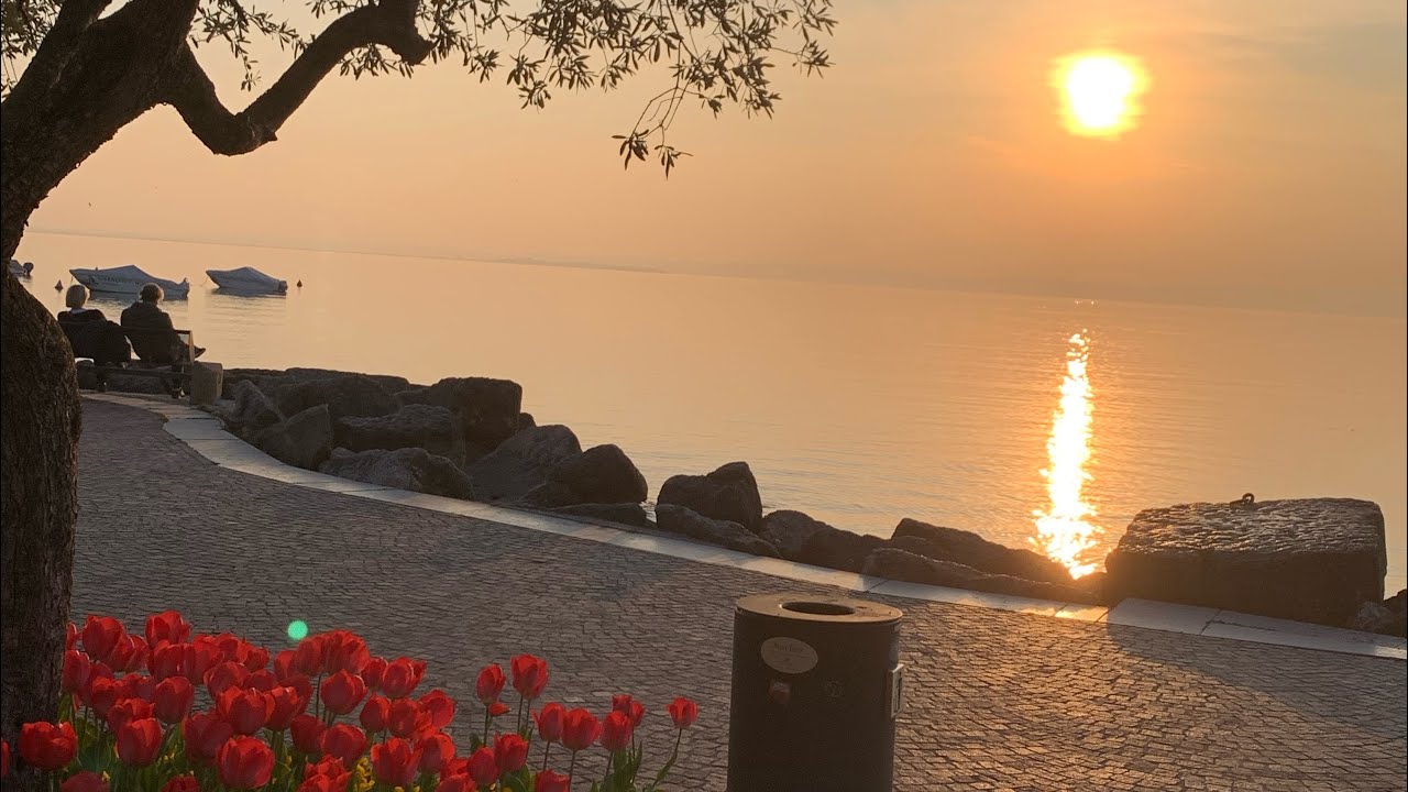 Cisano/lago di Garda بحيرة تشيزانو
