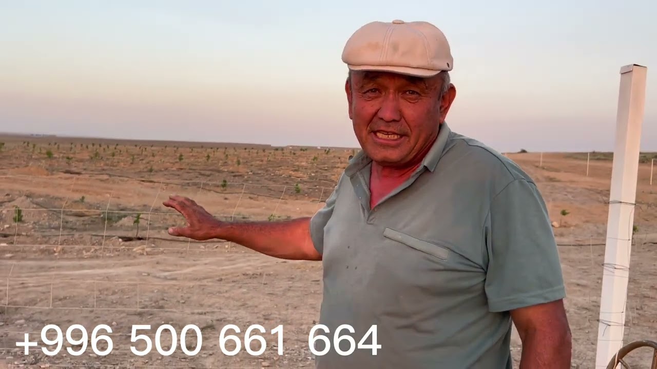 Бак остуруунун жаны ыкмалары