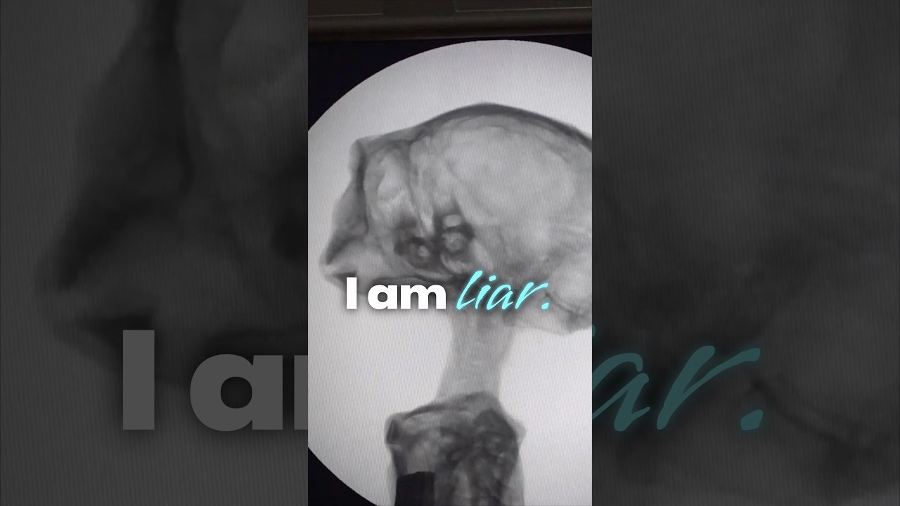 Был заключен в тюрьму за изучение мумий Наска.