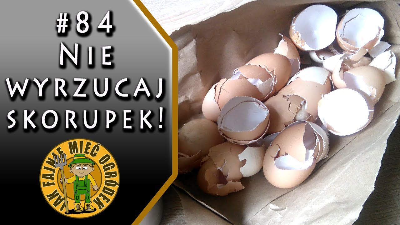 #84 Удобрение из яичной скорлупы - как сделать и внести?