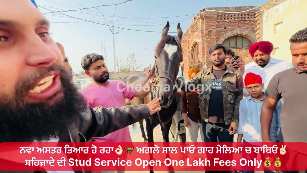 ਖੇੜੀ ਵਾਲੇ ਬਾਬੇ ਨੇ ਨਵੇ ਅਸਤਰ ਸ਼ਹਿਜ਼ਾਦਾ ਘੋੜੇ ਦੀ STUD SERVICE OPEN ਕਰਤੀ ਬਾਬਿਓ🐎✌🏻FULL VLOG😎 #babaji 