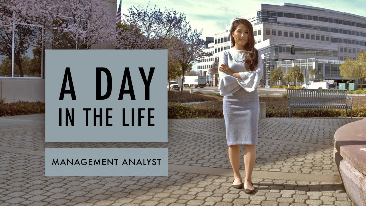 Foster City | A Day in the Life: Management Analyst