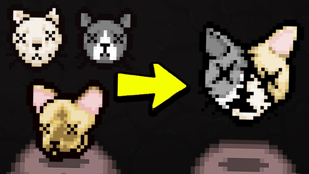 We Added The Craziest Cat Item Ever