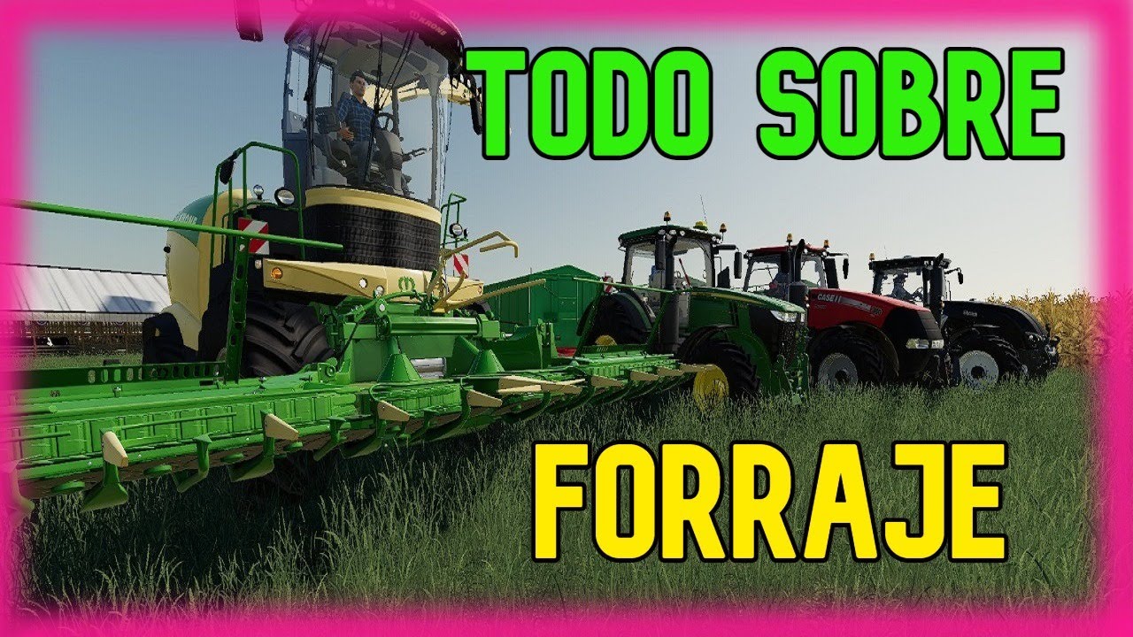 FORRAJE GUIA PRACTICA TODO LO QUE TENES QUE SABER