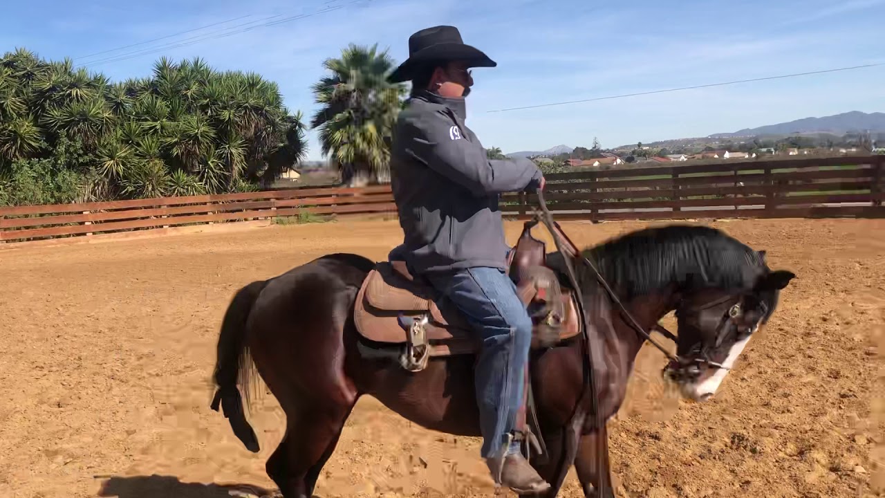 Caballo Charro (inicios)