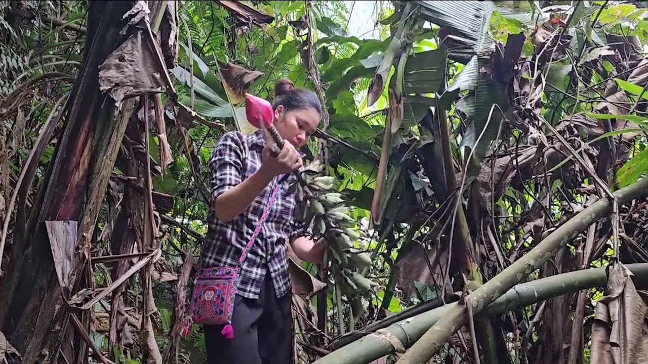 Single Mother’s Story | Getting Help and Returning to a Peaceful Life