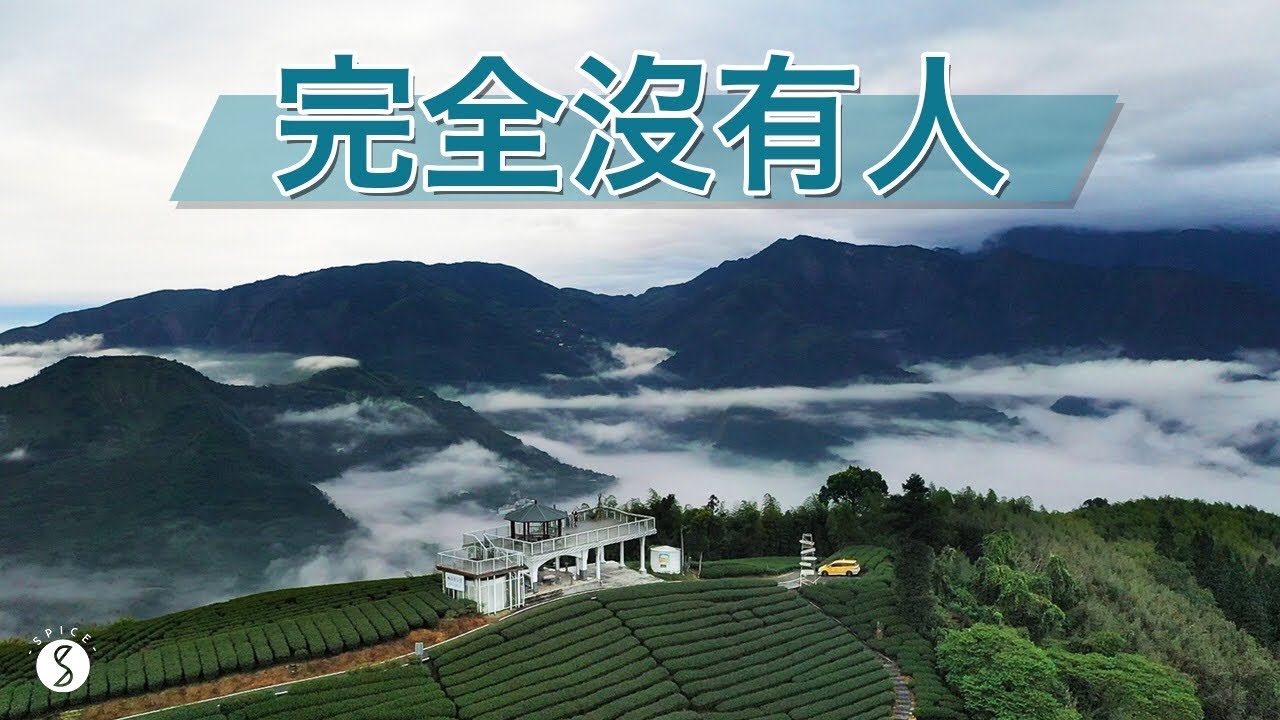 Spice 阿里山🌶️ |「報復性出遊」是假新聞? 阿里山也有無人步道和秘境！