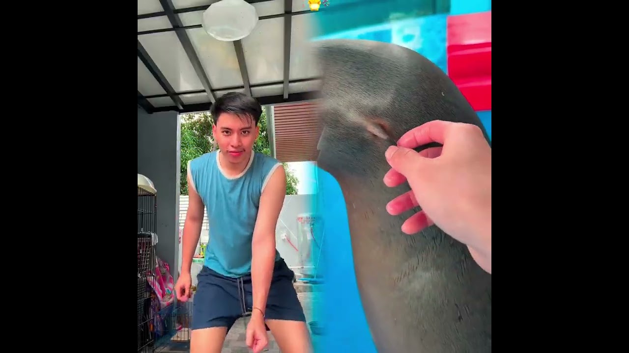 🤣👌👌👌2026 pov Must-Watch Crazy Clips Compilation #humor #fypシ #pov #fyp #foryou 😍😜