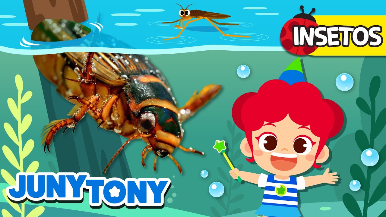 Insetos Aquáticos | Barata d'água Gigante e Mais | Música Infantil | JunyTony em Português