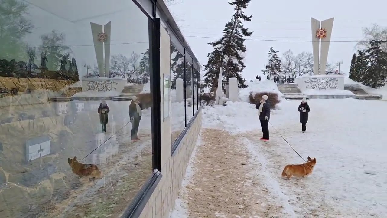 Панорама Энгельс 2026