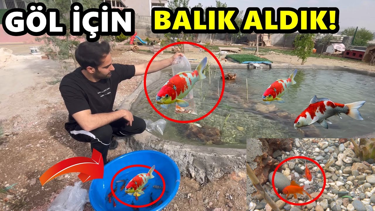 GÖL İÇİN BALIK ALDIK - Su Altı görüntüleri !