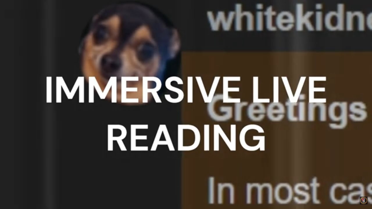 Whitekidney Responds | Everlook | Immersion