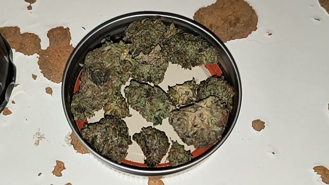 STRAIN REVIEW 242: island pink - Elephantgarden