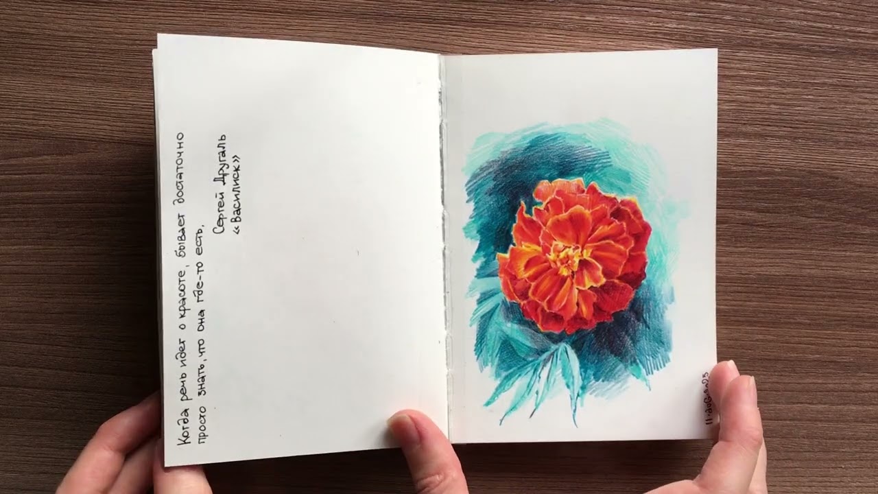 Falafel Swiss Black Sketchbook tour/ Обзор скетчбука Falafel Swiss