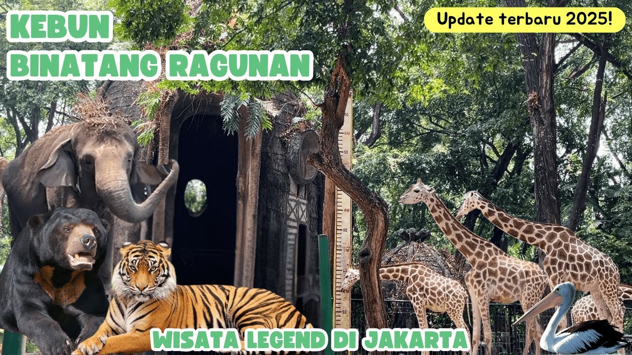 UPDATE‼️KEBUN BINATANG RAGUNAN 2025 | KEBUN BINATANG RAGUNAN JAKARTA | INFO LENGKAP TIKET DAN WAHANA
