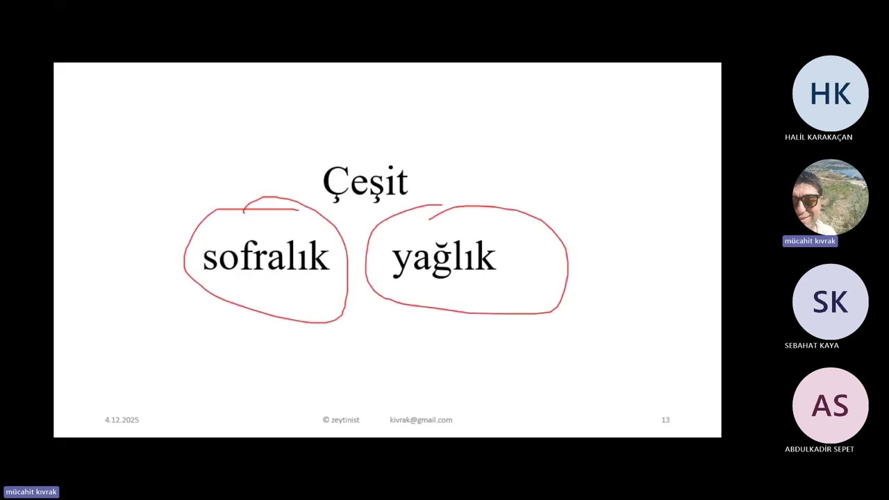 zeytin yetiştirme şartları