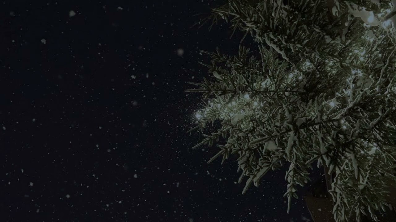 𝑷𝒍𝒂𝒚𝒍𝒊𝒔𝒕 별이 머무는 밤