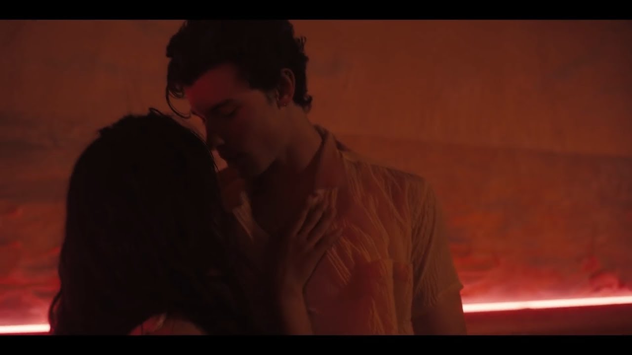 Shawn Mendes, Camila Cabello Señorita (BUT IN REVERSE)