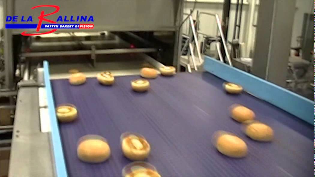 Vision counting system