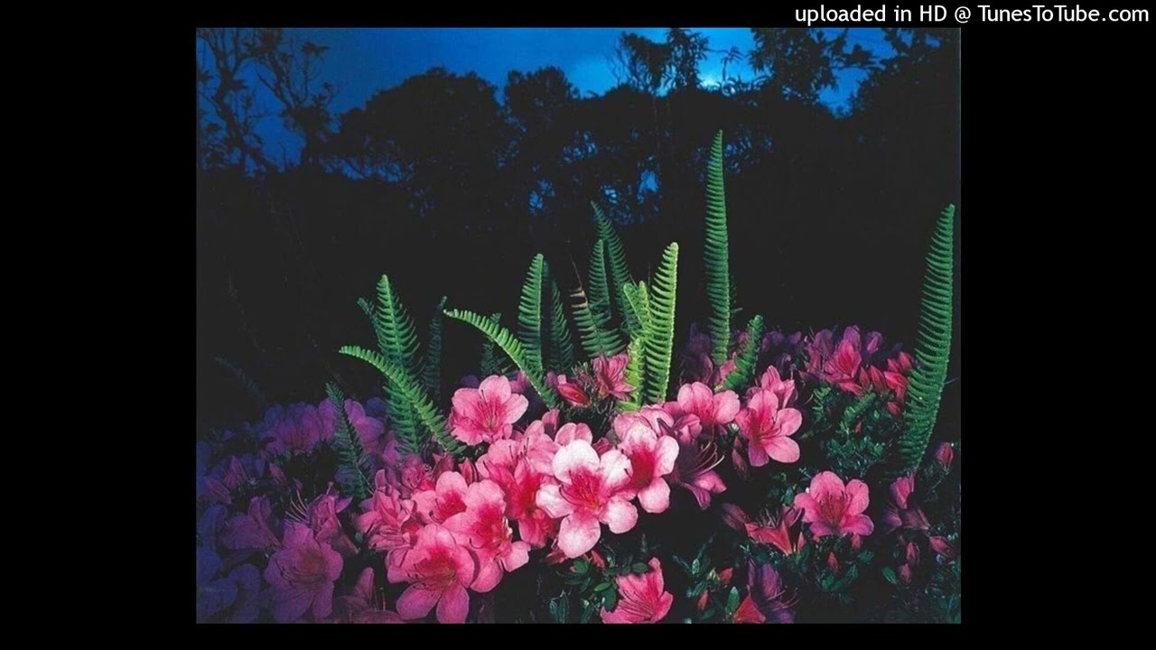 nine vicious sampled x 406ahmad type beat - sadly