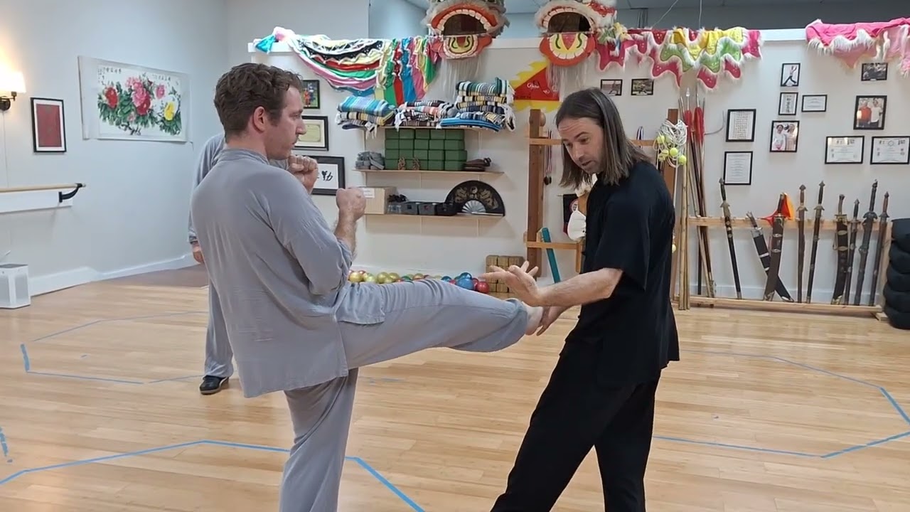Online Academy for Baguazhang, Tai Chi, and Xingyi.