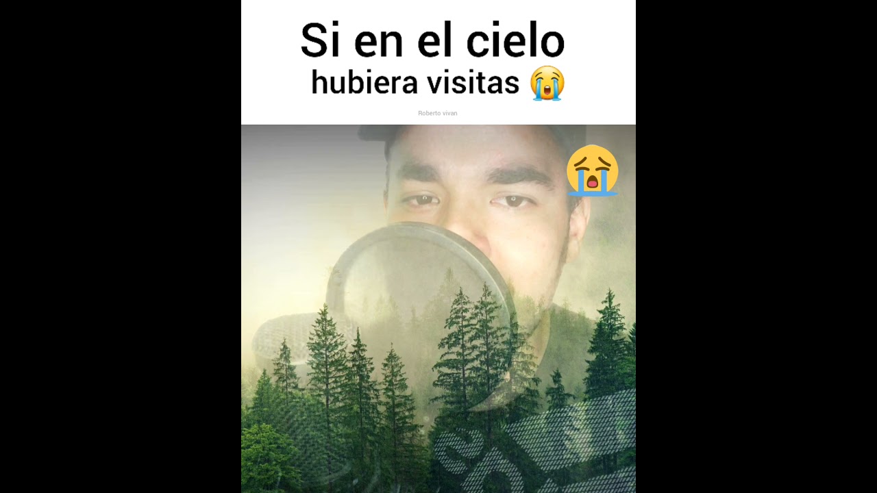 si en el cielo hubiera visitas/ Roberto vivan