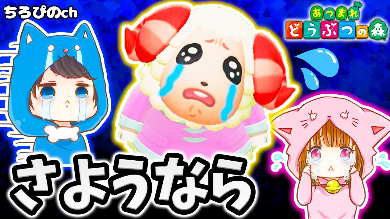 【あつ森】ちゃちゃまるさようなら。お別れの会【ちゃちゃまる】【あつまれどうぶつの森】