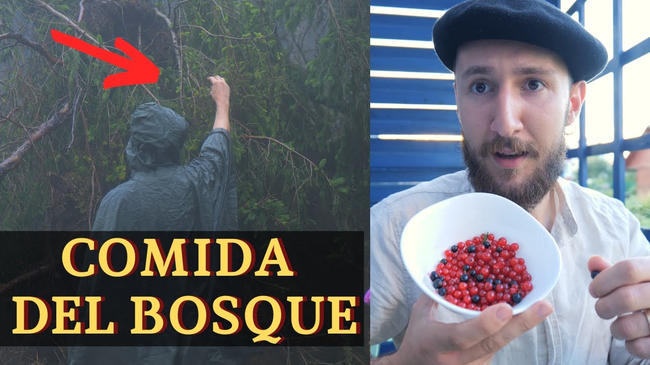 ESTO ES COMIDA DE VERDAD! Alimentos del bosque 🌲