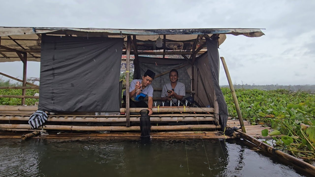 Di guyur hujan deras dari pagi beruntung masih ada stok beras dan bisa masak hasil tangkapan Ep.476