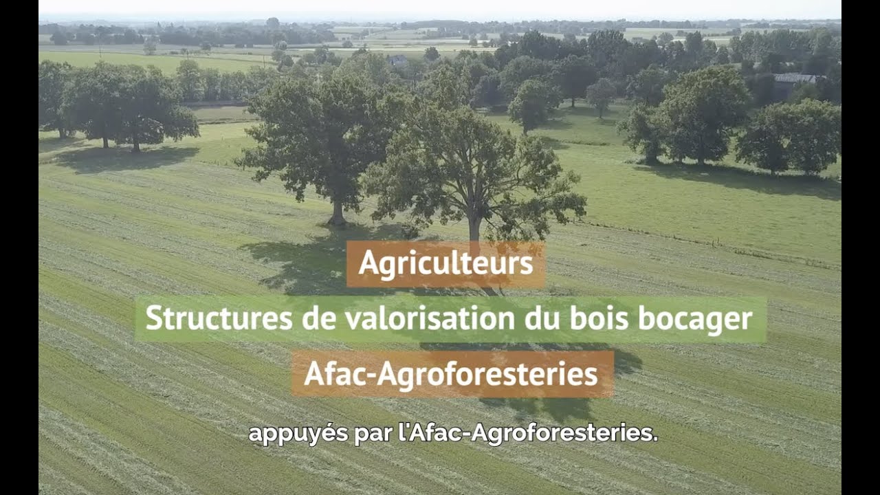 Label Haie : Ressources durables de nos territoires