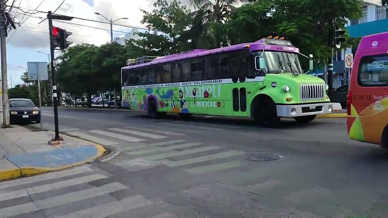 Dónde Cambiar Dólares en Playa del Carmen 16 de Enero 2026