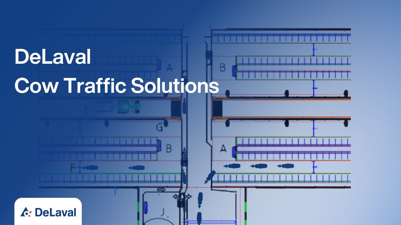 DeLaval Cow Traffic Solutions