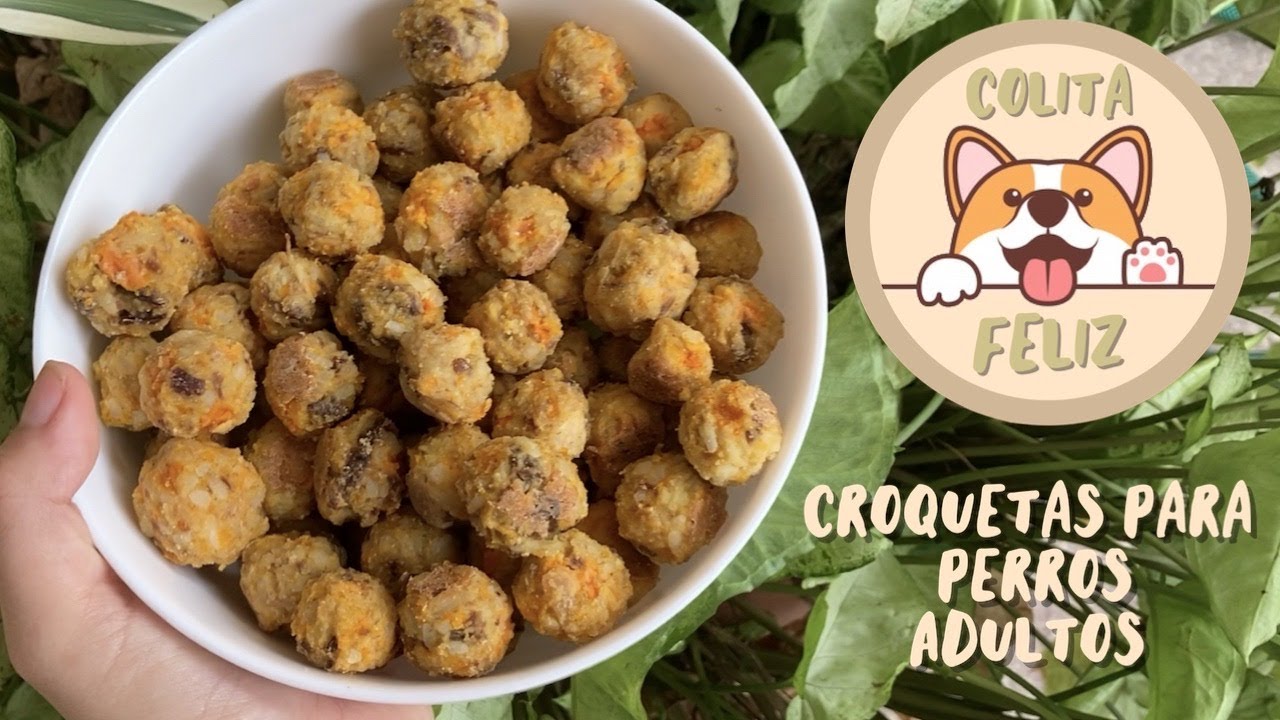 Croquetas Naturales Para Perros I Colita Feliz