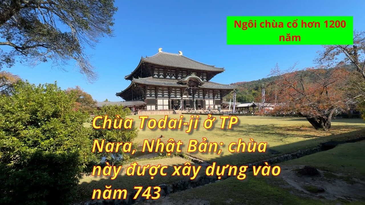 Tham Quan công viên Nara và chùa Todai-ji ở thành phố Nara, Nhật Bản;Visit Nara Park & Todai temple