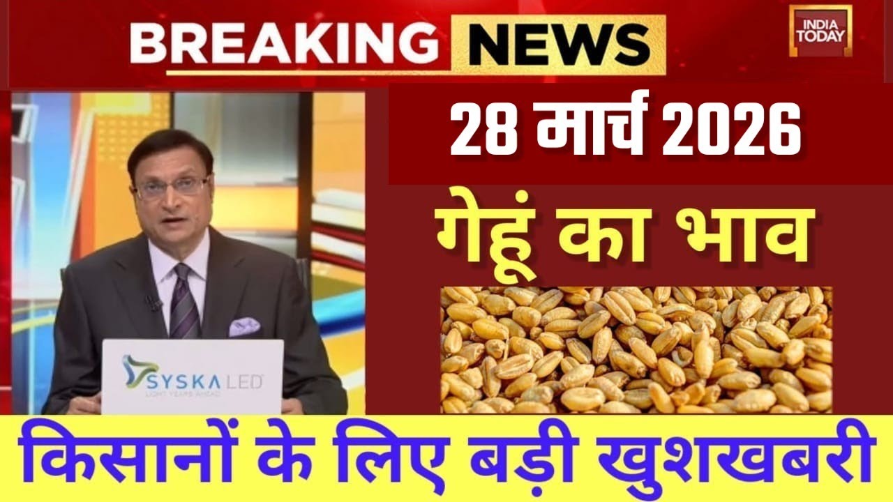 06 मार्च 2026 Gehun Ka Bhav आज का गेहूं का भाव । गेहूं के भाव में आई  आज तेजी । गेहूं का भा1व