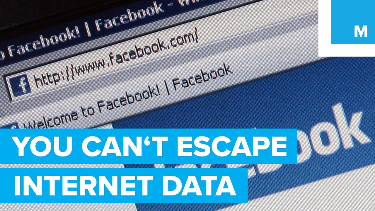 You Can't Erase Yourself From the Internet