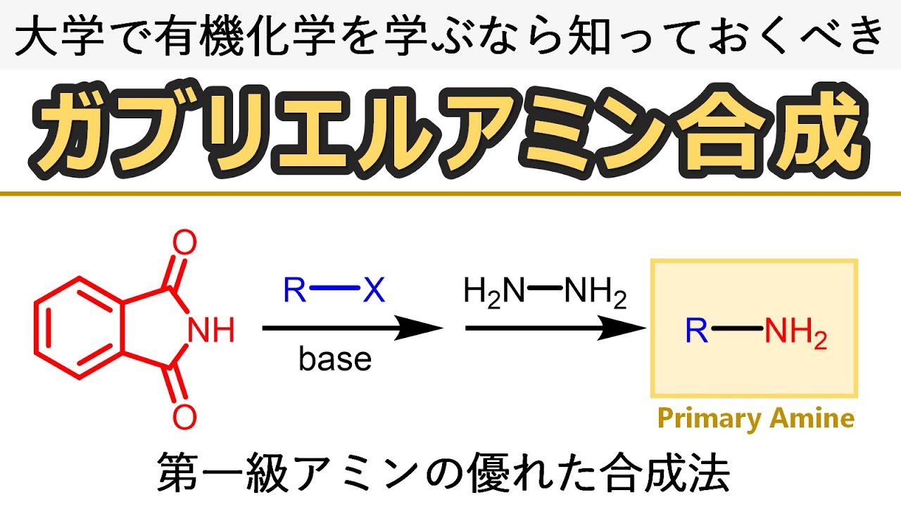 ガブリエル合成：フタルイミドを用いたアミン合成/Gabriel Amine Synthesis