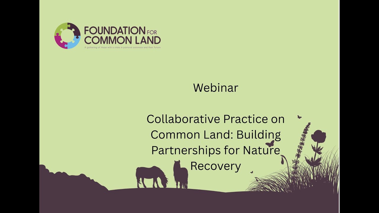 Collaborative Practice