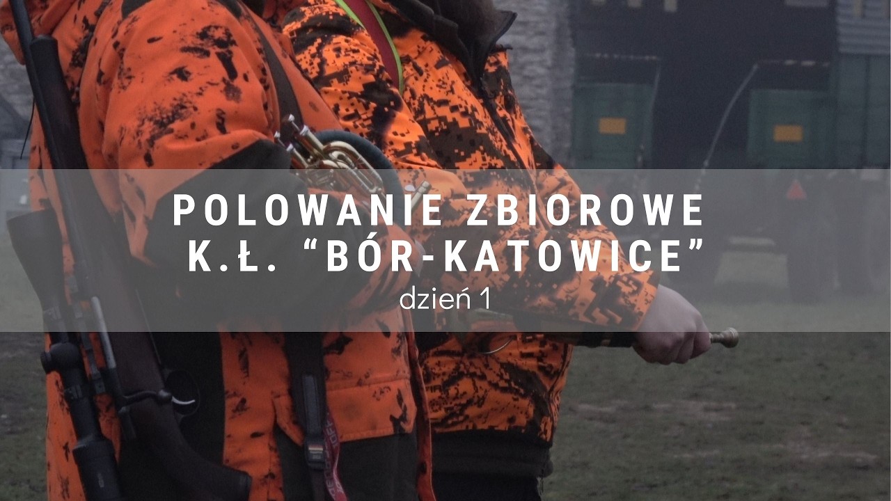 DIANA BYC 6/2026 Polowanie zbiorowe K.Ł. 