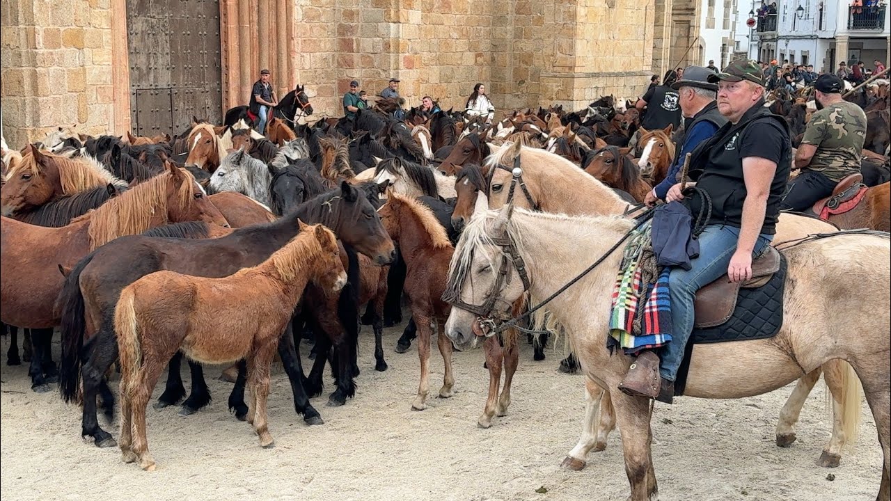 As San Lucas 2025 - Bajada de los caballos