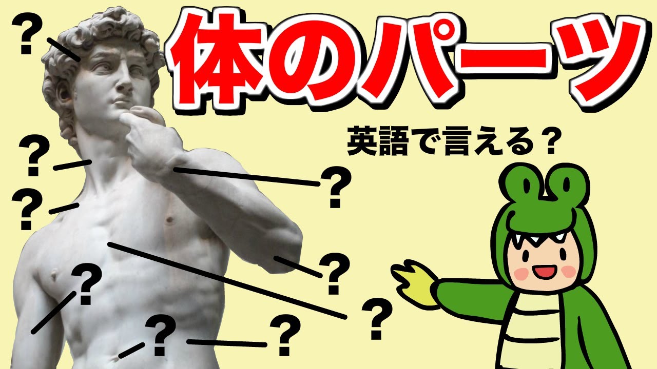 【意外に言えない】頭、腕、足だけじゃない。おへそ、すね、うなじなど、体のパーツの英語の言い方 [#395]