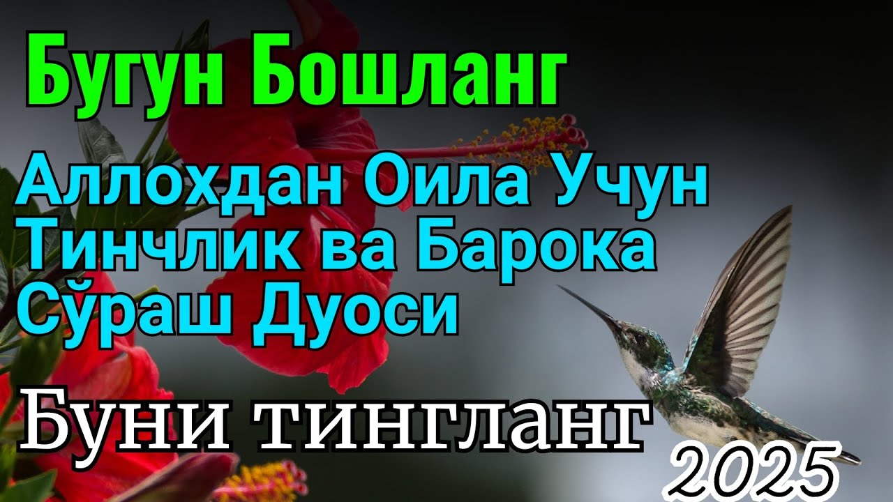 5 ДАҚИҚАДАН СЎНГ СИЗ КАТТА МИҚДОРДАГИ ПУЛНИ ОЛАСИЗ, ПУЛ ЧАҚИРИШ УЧУН СУРА