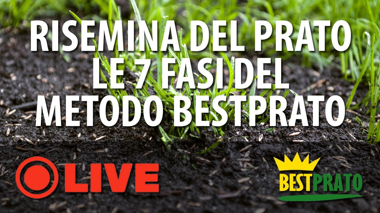 RISEMINA DEL PRATO. LE 7 FASI DEL METODO BESTPRATO.