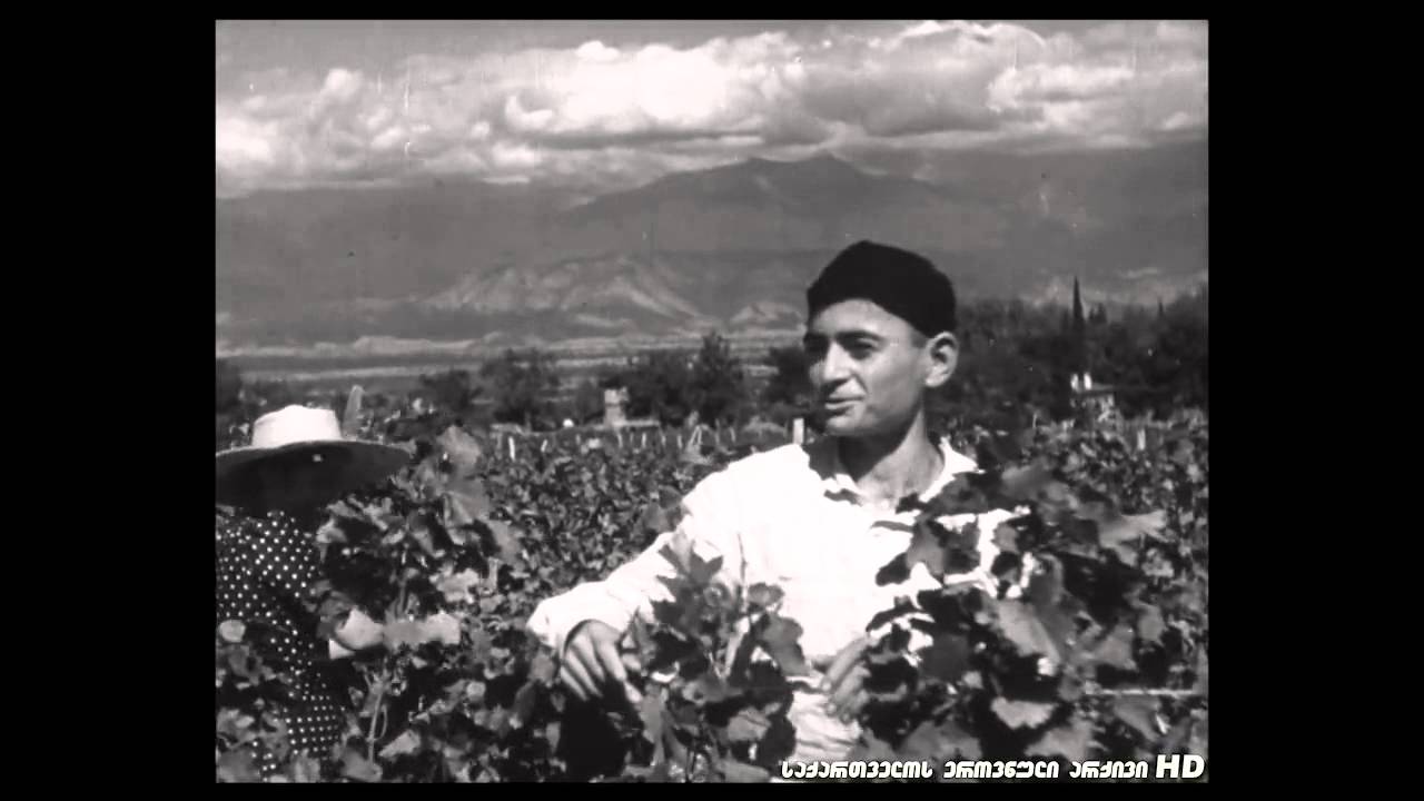 1941 წელი. რთველი კახეთში და 